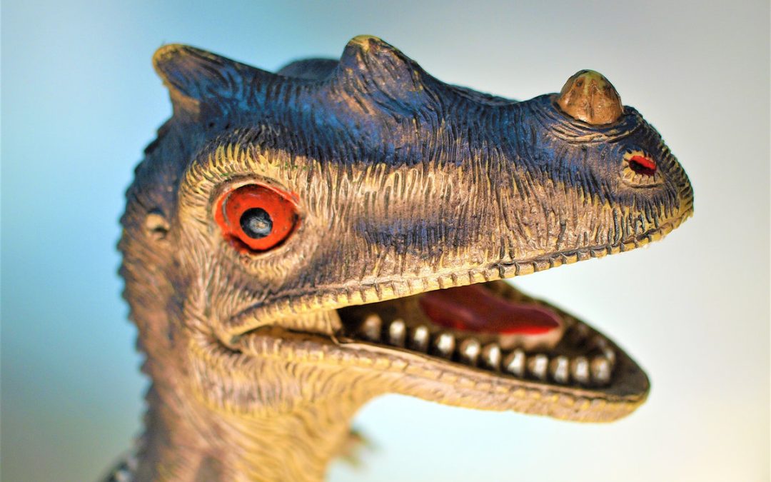 Episode 002: Von Dinosaurier-Erotika und Corona-Romance: Das literarische Genre