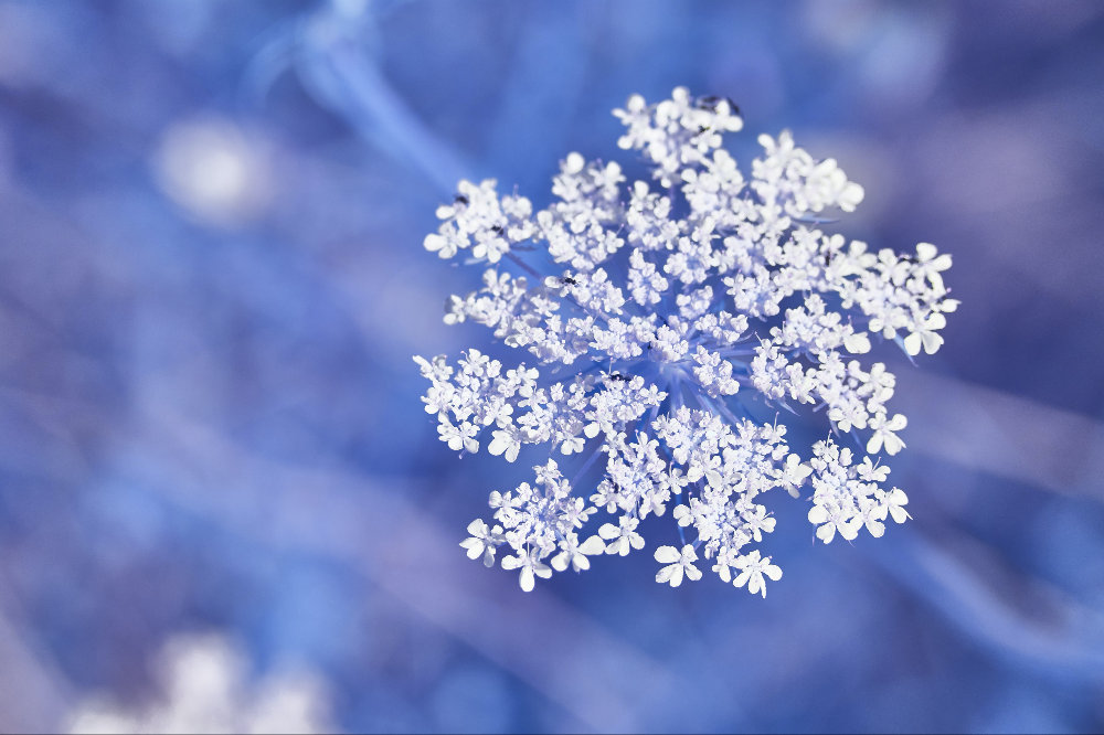 Ist die Schneeflocken-Methode richtig für Deinen Roman?