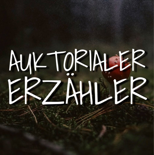 Lies mal, wer da spricht: Die Erzählperspektive