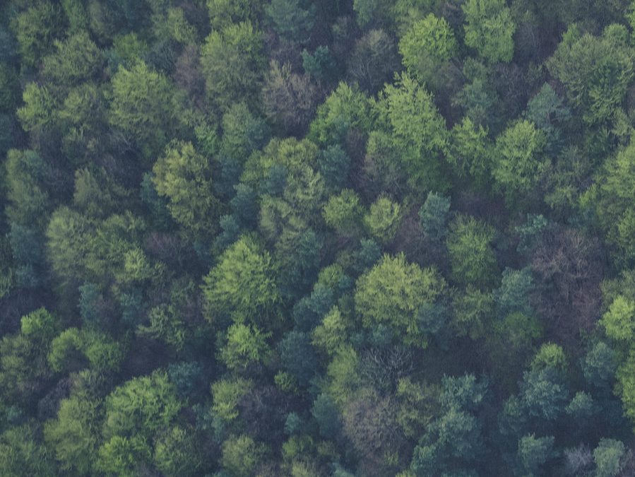 Testleser:innen – Ein wertvoller Einblick in den Leseeindruck