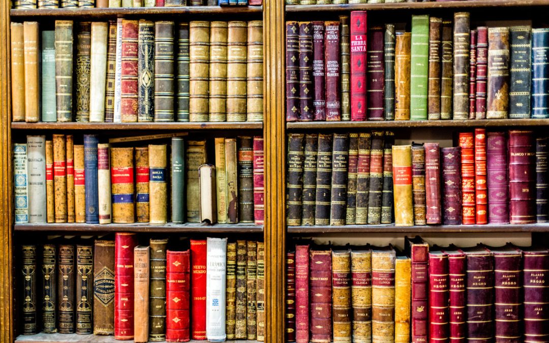 Wer spricht da? – Bücher mit ungewöhnlichen Erzählstimmen