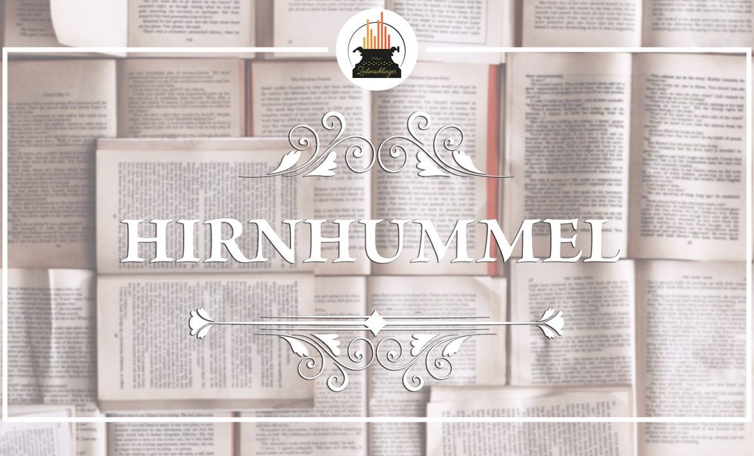 Wort der Woche 023: Hirnhummel