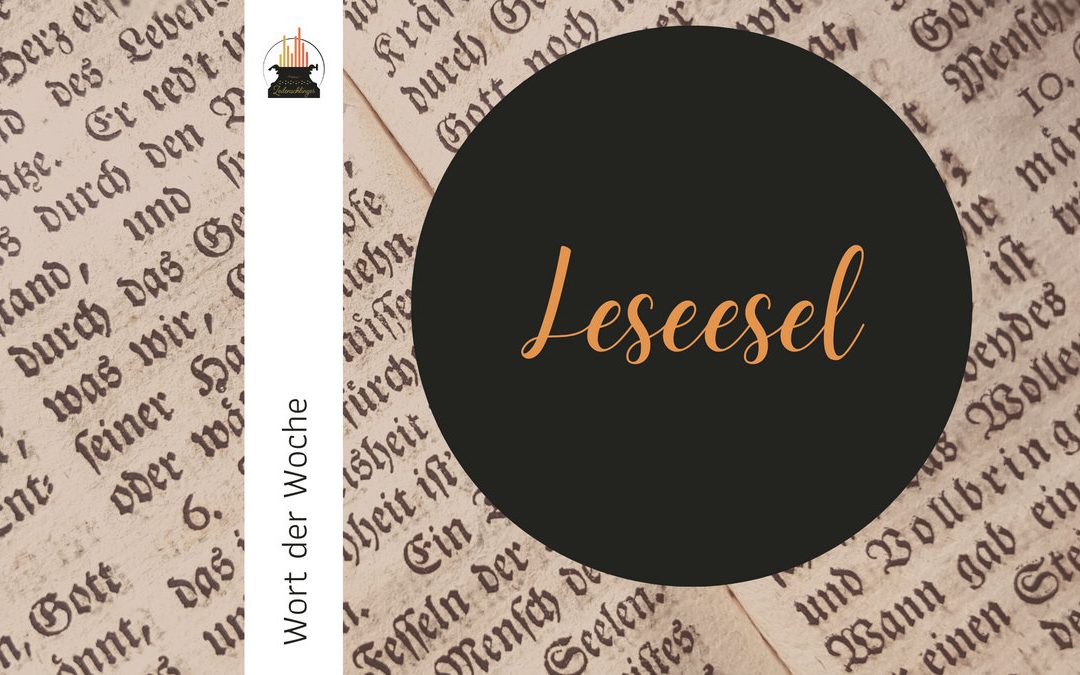 Wort der Woche 070: Leseesel