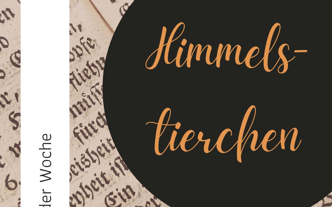 Wort der Woche 074: Himmelstierchen